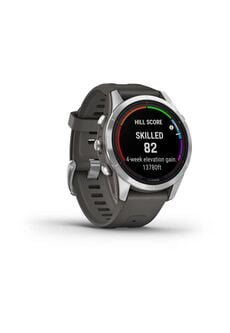 GARMIN SMARTWATCH FENIX 7S PRO - SOLAR PASS STEEL W/GRAY BAND